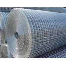 Electro Galvanized Welded Mesh (HDW01)